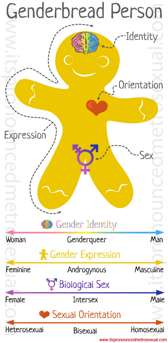 Gender Identity And Gender Analysis