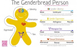 The Genderbread Person