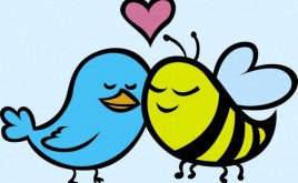 birds-and-bees