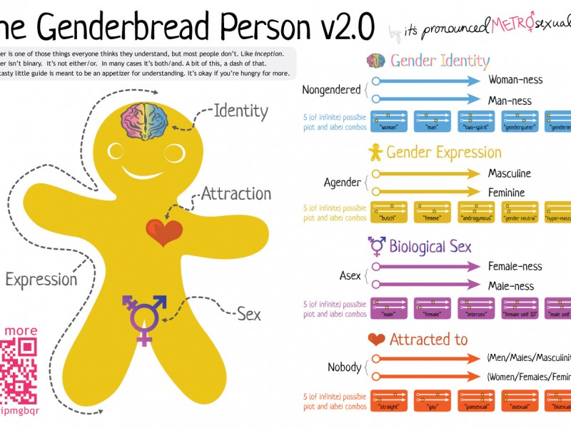 Genderbread Person Archives It S Pronounced Metrosexual