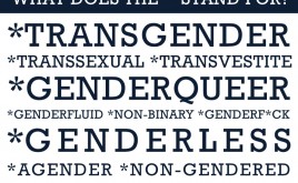 "Trans*" Poster