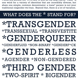 "Trans*" Poster