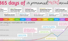 365 Days of It's Pronounced Metrosexual Infographic