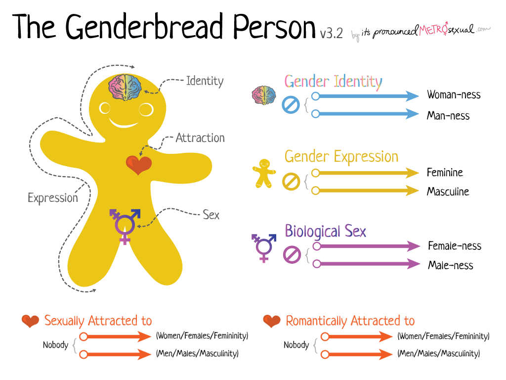 http://itspronouncedmetrosexual.com/wp-content/uploads/2015/03/genderbread-person-3.png