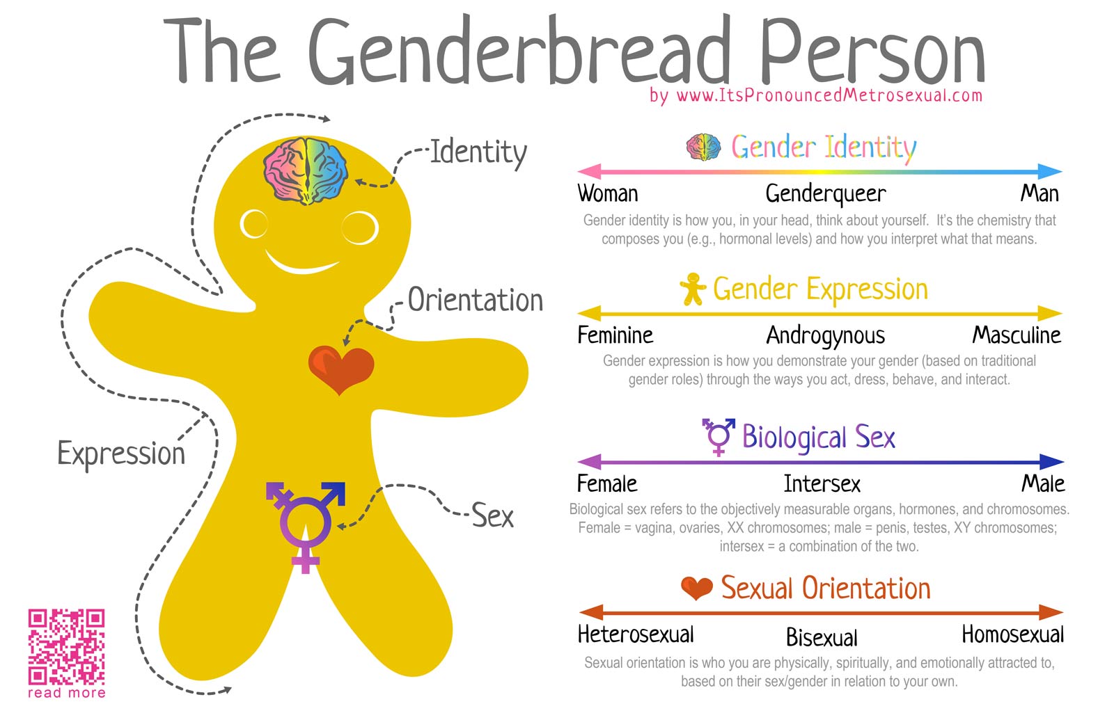 Breaking Through The Binary: Gender Explained Using Continuums - ❤ It's  Pronounced Metrosexual