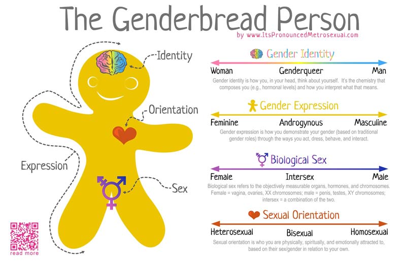 The Genderbread Person It S Pronounced Metrosexual