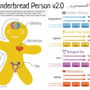 The Genderbread Person v3 - It's Pronounced Metrosexual