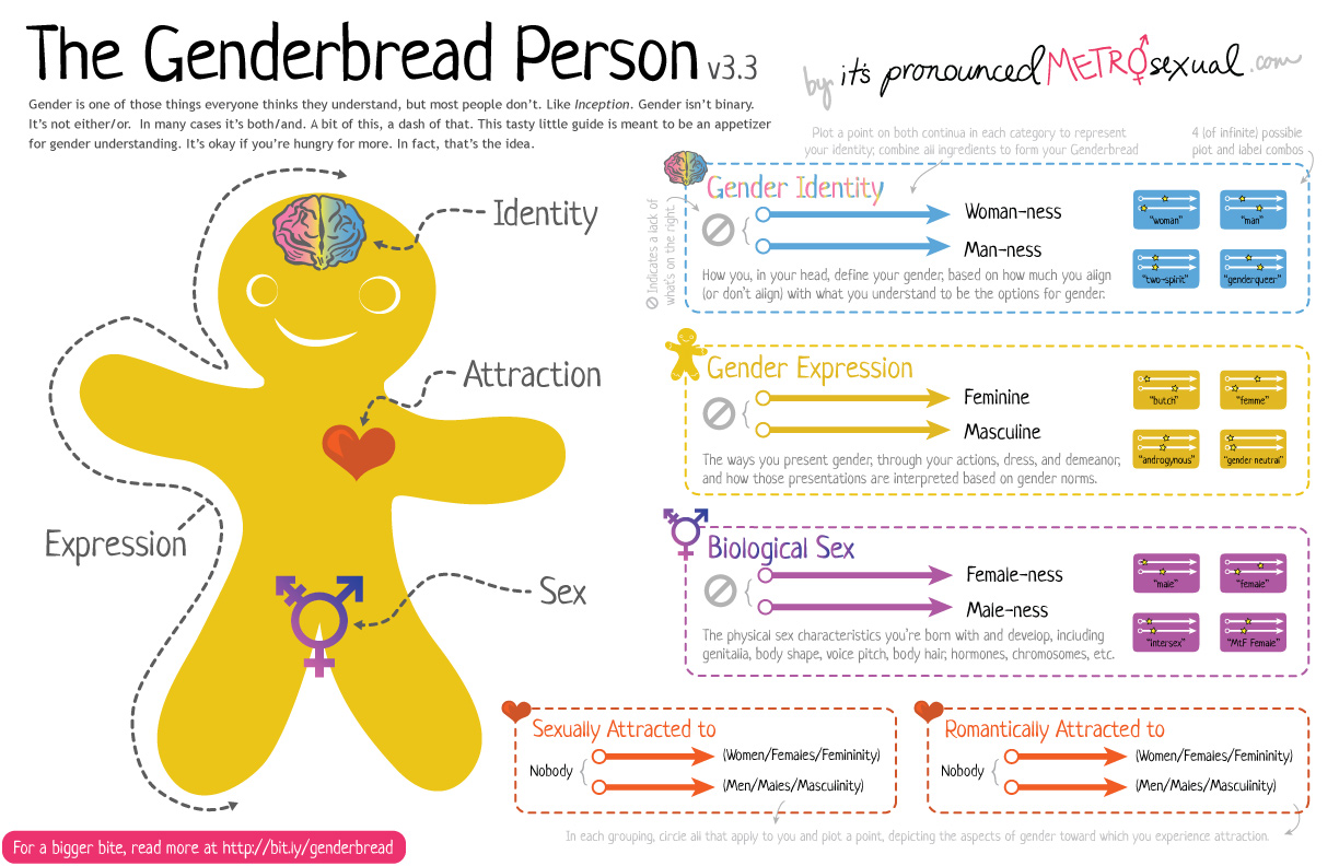 The Genderbread Man image diagrams the different variations of neutrality to maleness and neutrality to femaleness im gender identity, gender expression, sex, gender, and attraction.