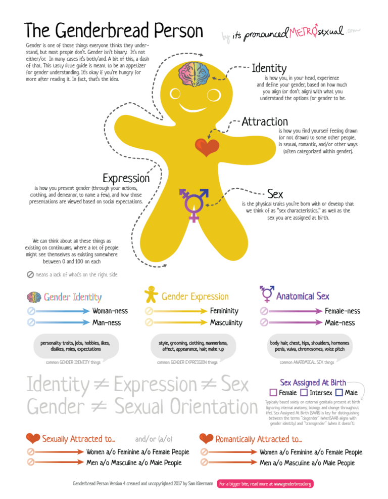 The Genderbread Person Version 4 Its Pronounced Metrosexual