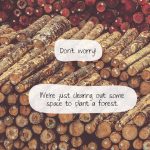 An image of piled, cut logs with the caption reading "Don't worry. We're just clearing out some space to plant a forest."